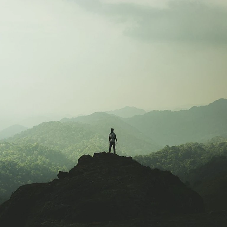 Understanding the Verification of Competency: A Comprehensive Guide