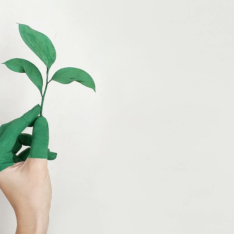 The Role of an Organizational Manager in Data-Driven Human Resources