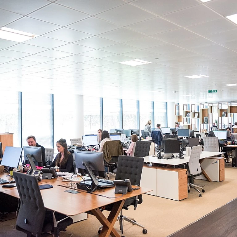 Understanding Skill Utilization in Human Resources