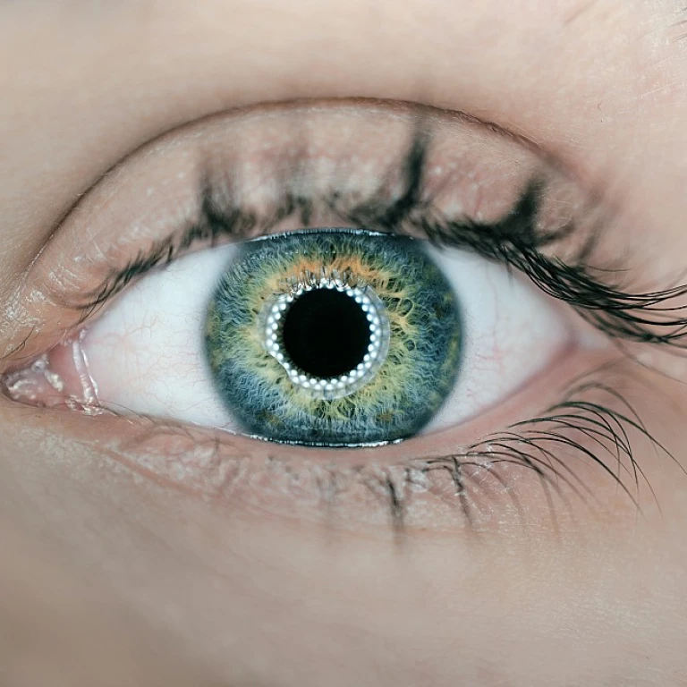 Understanding the Difference Between Sales Orders and Invoices