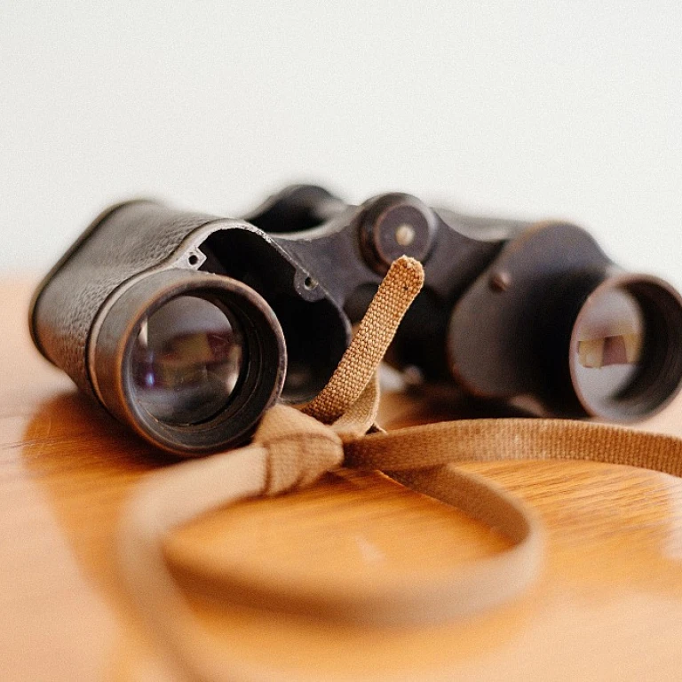 Understanding the Importance of EEO-1 Categories in HR Data