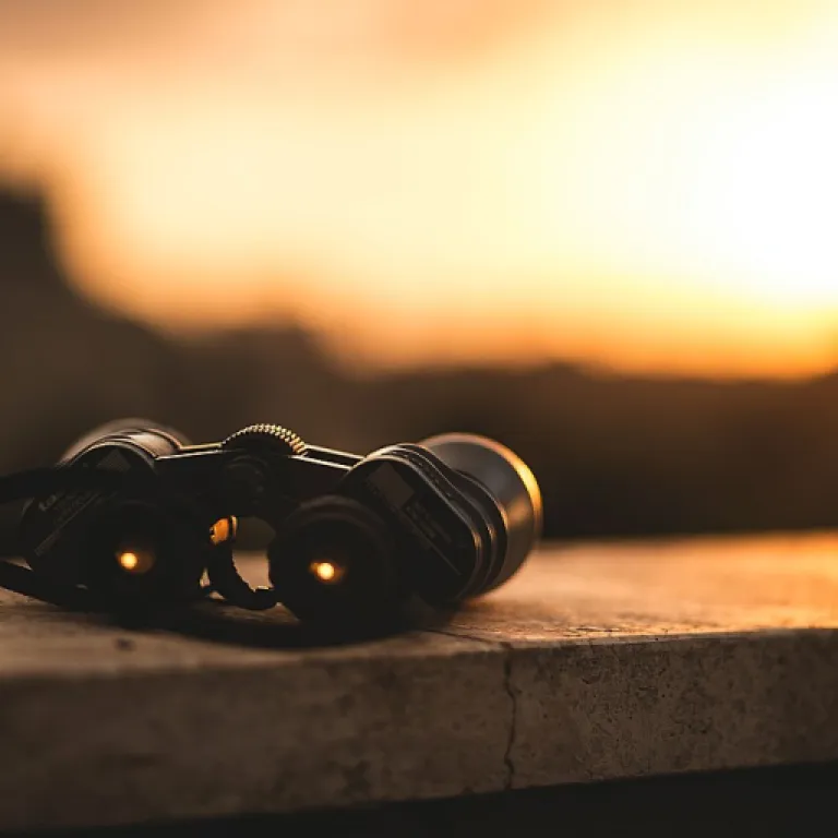 How case explorer transforms HR data analysis for informed decision-making