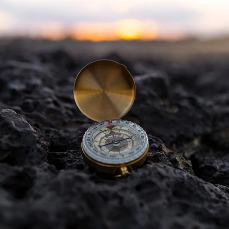 Understanding the role of claims admin in human resources data